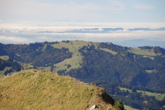 DSCN1184
