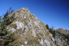DSCN1187