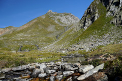 DSC07278