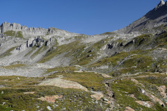 DSC07288