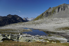 DSC07307
