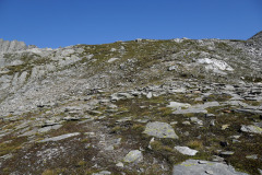 DSC07309