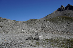 DSC07310