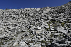 DSC07333