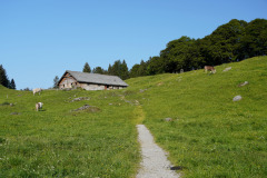 DSC06825