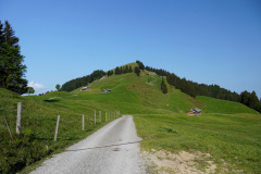 DSC06829