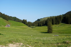 DSC06832