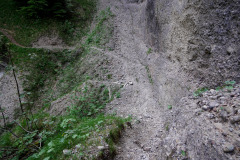 DSC06842
