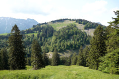 DSC06859
