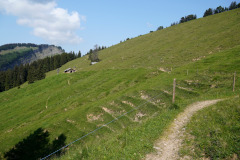 DSC06861