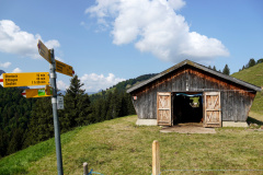 DSC06874