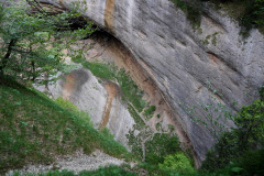 DSC06913