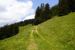 DSC06935