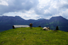 DSC06936
