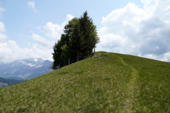 DSC06970