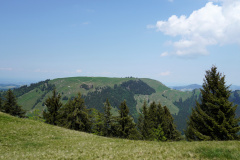 DSC06972