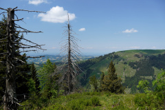 DSC06976