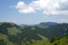 DSC06980