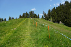 DSC06983