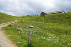 DSC06985