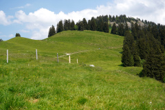 DSC06987