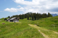DSC06988