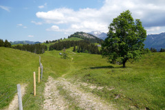 DSC06991