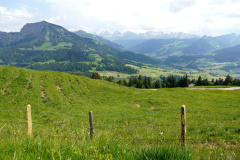 DSC06998
