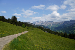 DSC07002