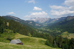 DSC07005
