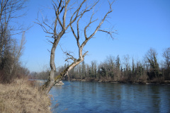 DSCN4128