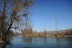 DSCN4132