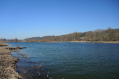 DSCN4144