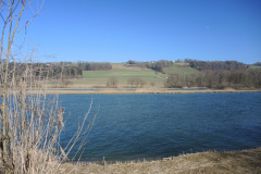 DSCN4145