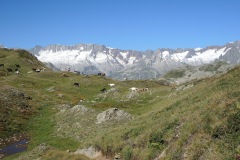 DSCN1004