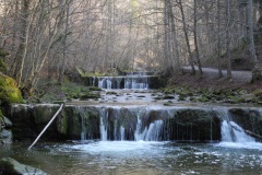 DSCN2370
