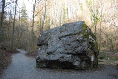 DSCN2372