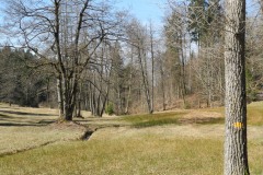DSCN2386