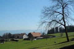 DSCN2387