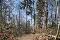DSCN2389
