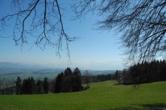 DSCN2394