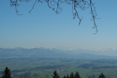 DSCN2395