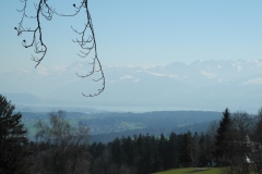DSCN2396