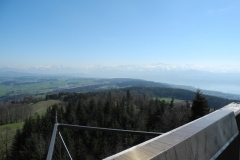 DSCN2399