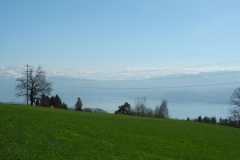 DSCN2404