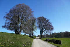DSC08479