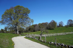 DSC08480