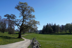 DSC08481