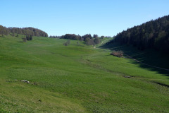 DSC08490