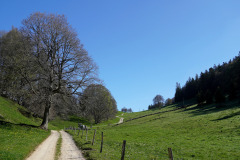 DSC08493